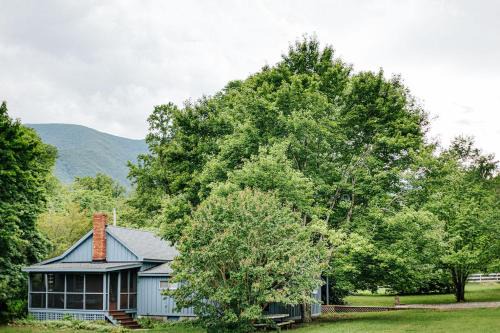 Bluebird Cottage