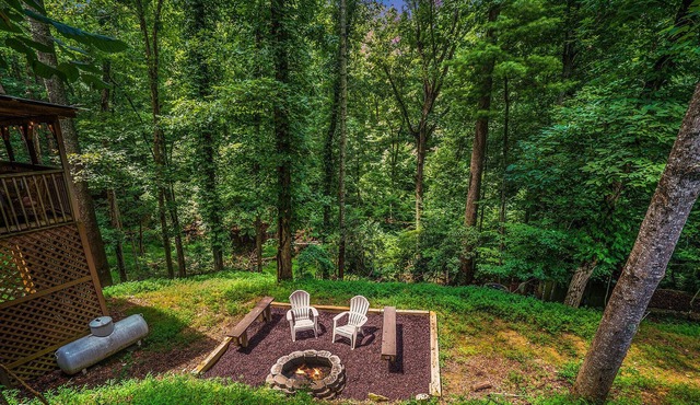 Brand New!!! Storybook 2 Bdrm/2 Bath Mtn Cottage
