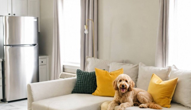Bright 1BR Cottage | Central Comfort Stay