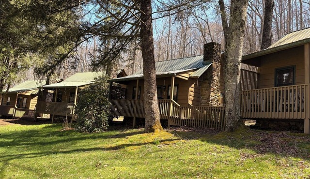 Cabin on a hillside overlooking beautiful Valley Springs Lake pet friendly (dog)