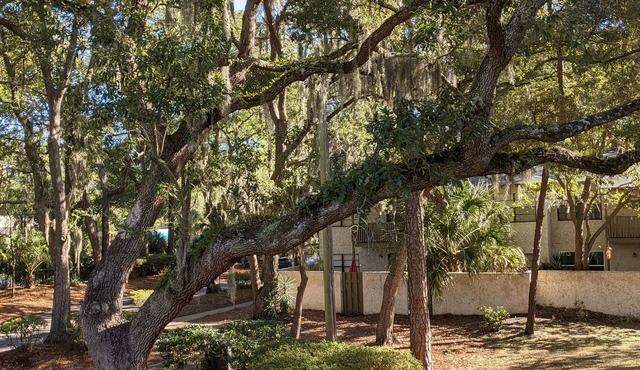 Casa Gabriela no pet fees 1.2 miles from the beach. North End.str permit 069298