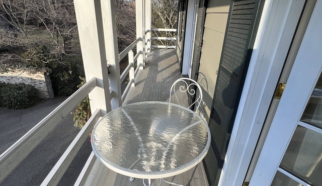 Charlottesville/ Ivy Apartment Cottage