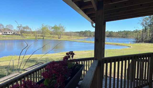 Charming Cottage in Gulfport overlooking 2 beautiful ponds WIFI Pet Friendly