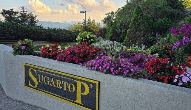 Charming Ever Green 2-Bedroom Condo in Sugar Mountain with Resort Amenities