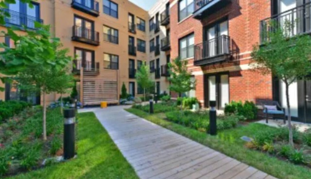 Chic 1-bedroom apartment in enjoyable Arlington near Washington, DC