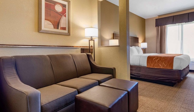 Comfort Suites Airport South