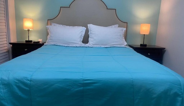 Convenient and Private Downtown 1BR Near Beach