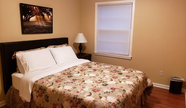 Cozy and Spacious Lexington stay