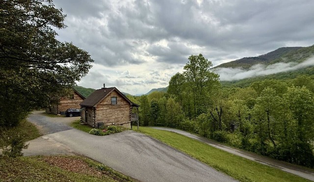 Cozy Bear Log Cabin, View, Wifi, Dogs Allowed