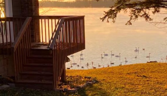 Cozy Getaway + Firepit + Lake + Relaxing Anytime + Peaceful Nights + Perfect