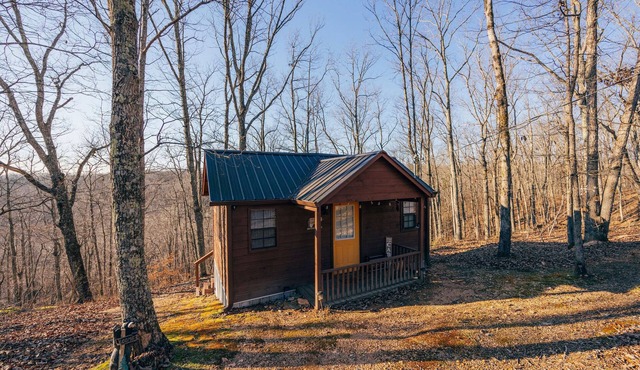 Cozy Tiny Cabin w/Peace and Quiet- 3min from TN River, 1hr 15min from Nashville