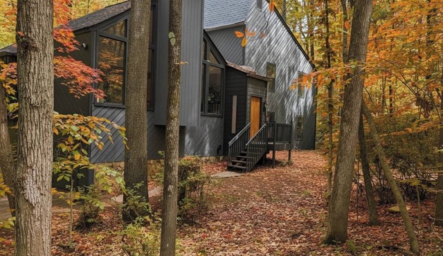 Discover Forest Therapy at Solitude at Willow: Locally own