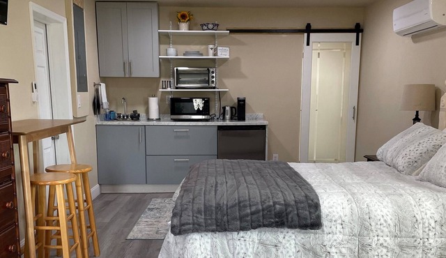 Dog Friendly, rural, newly renovated studio apartment set on 5 acres!