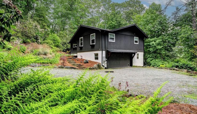 Dolly Woods, New to VRBO