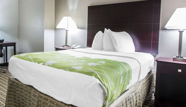 Econo Lodge Birmingham - Hoover