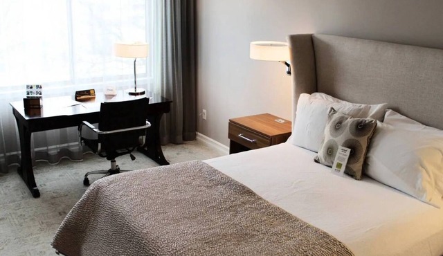Executive Queen Room in Minneapolis Boutique Hotel