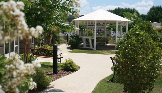 Experience Guntersville’s Lakeside Bliss from a Charming Private Room