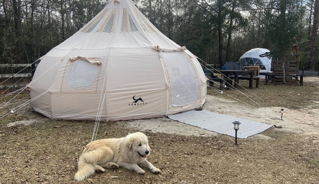 Farmstay Glamping AGRItourism retreat-HERSHEYS HUT-cows, chicks, goat, minihorse