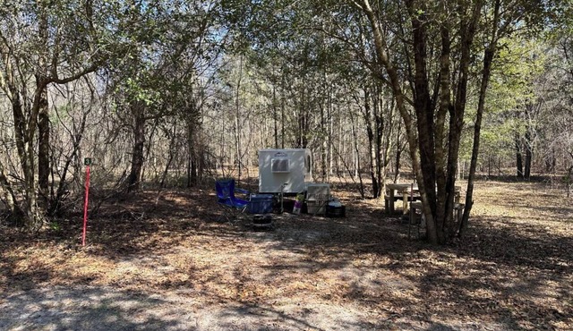 Farmstay- SMALL RV primitive site