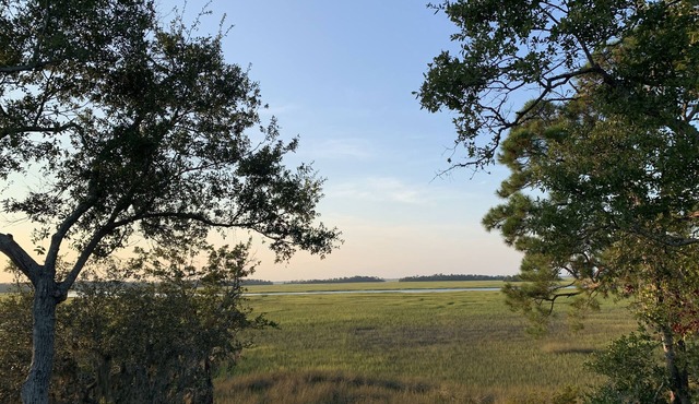 Feeling FrippSea - Marsh Views - 4 Bedroom - 2 Golf Carts