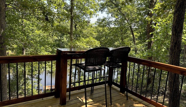 Forested Oasis