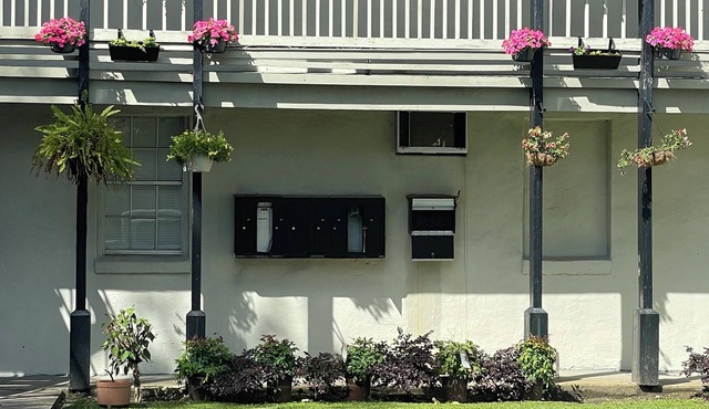 fully furnished in beautiful lower garden district