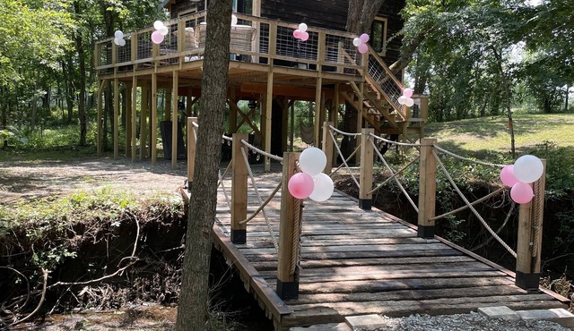 Fun & Magical Treehouse