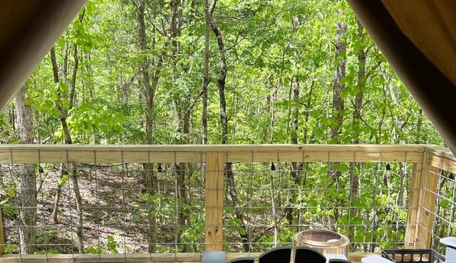G-4 Glamp in Bohamia - 268 acre forest retreat