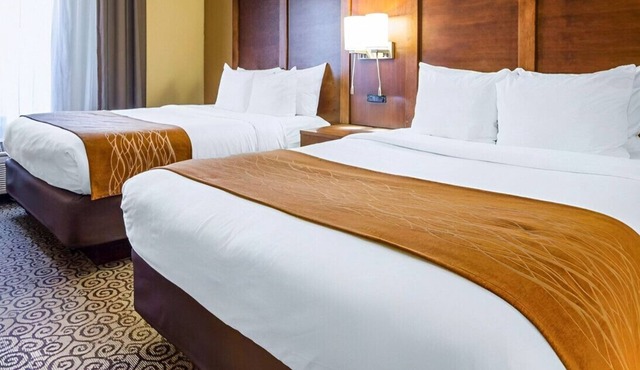 Glamorous Haven for You! W/ Free Breakfast