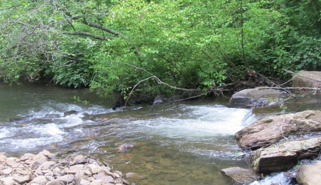 GREAT DEAL $85 per night ON BEAUTIFUL HIAWASSEE RIVER