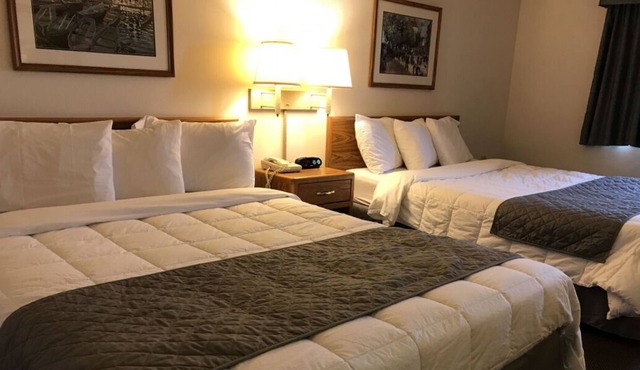 Great Relaxing Overnight Stay! 3 Pet-friendly Units, Free Parking, Pets Allowed
