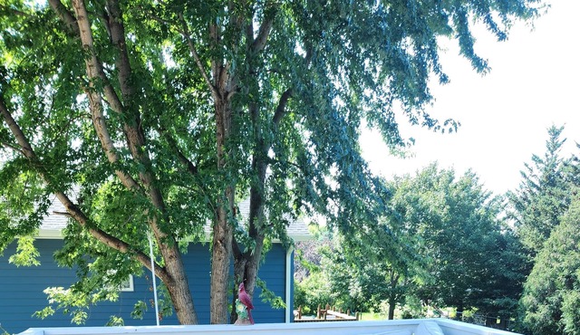 Great small town living just 15 minutes to shopping mall