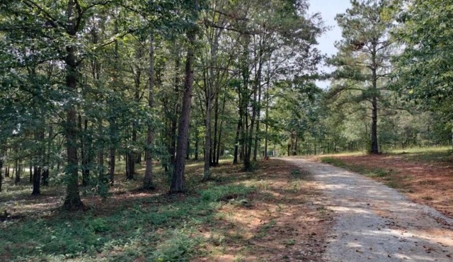 Hairy Hiker Woods -Full Hookup RV sites-Pet Friendly! Hide & Seek Dr.