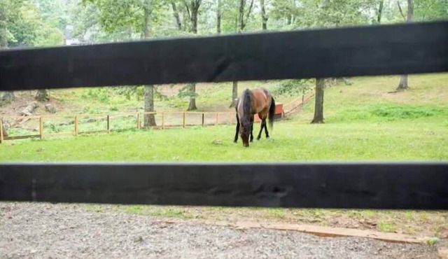 Half Moon Farm