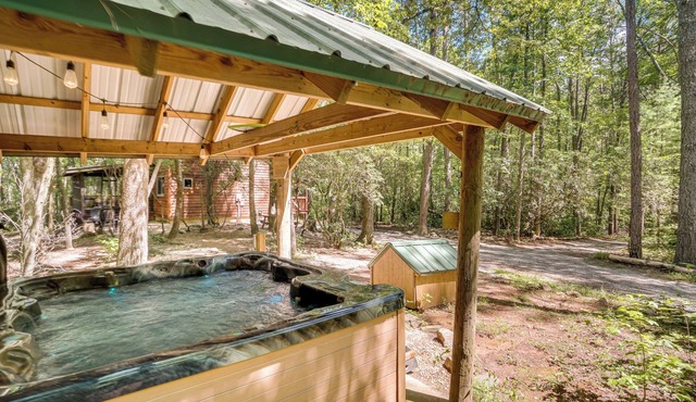 Helen Area Rustic Retreat ~ 5 Miles to Main Street