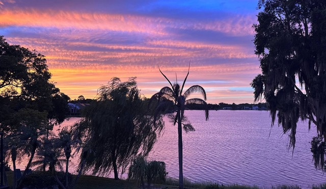 Lakefront Artist's Studio- Relax in Luxury!