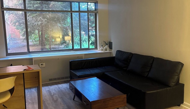 Large, Cozy studio in Arlington. 1 block from Metro, 1 stop from DC!