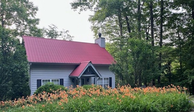 Lily At Blairsville 2 Bedroom Cabin by Redawning