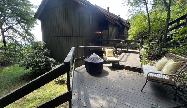 Long range views off Blue Ridge Pkwy w/updated kitchen & laundry Pet-Friendly!