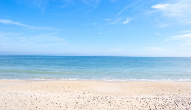 Luxury Oceanside Apt. Pool Private Beach. Special Summer 5+ Days Promotion