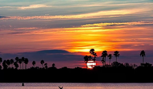 Luxury Waterfront Condo on Bouchelle Island NSB