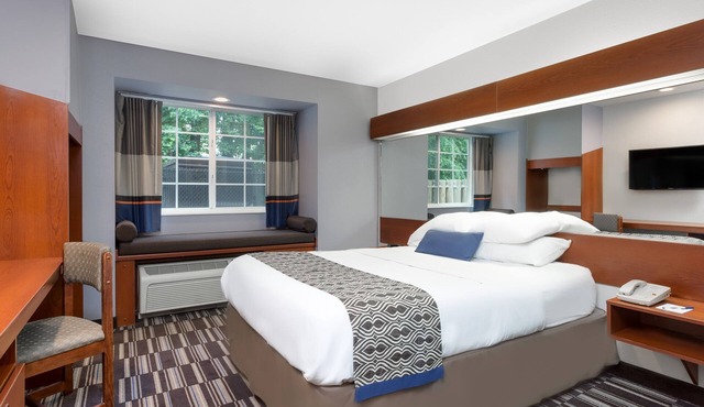 Microtel Inn & Suites by Wyndham Bremen