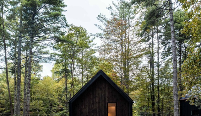 Modern 2BR Cabin near Highlands · Secluded Wooded Setting