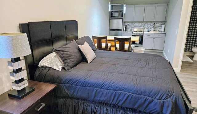 New Modern Studio in Maryville (Unit 105)
