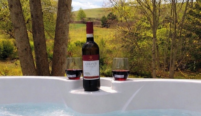 Peaceful Mornings & Starlight Nights Couples Retreat Hot tub !Fire pit! Pets