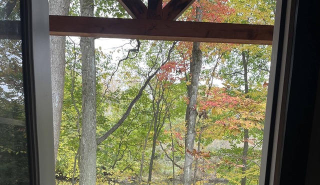 Peaceful Primitive Riverfront Cabin. Pet Friendly