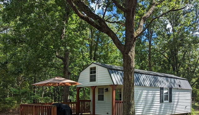 Quiet, secluded tiny house that sleeps 6 +