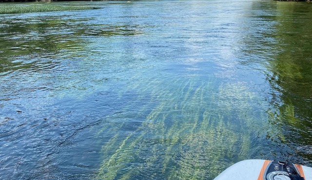 Relax on the River