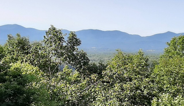 RELAX, UNWIND AND RECHARGE IN THE HOT TUB AT THIS MOUNTAIN VIEW COTTAGE