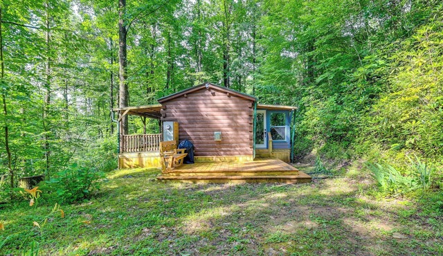 Rosman Vacation Rental w/Charcoal Grill!